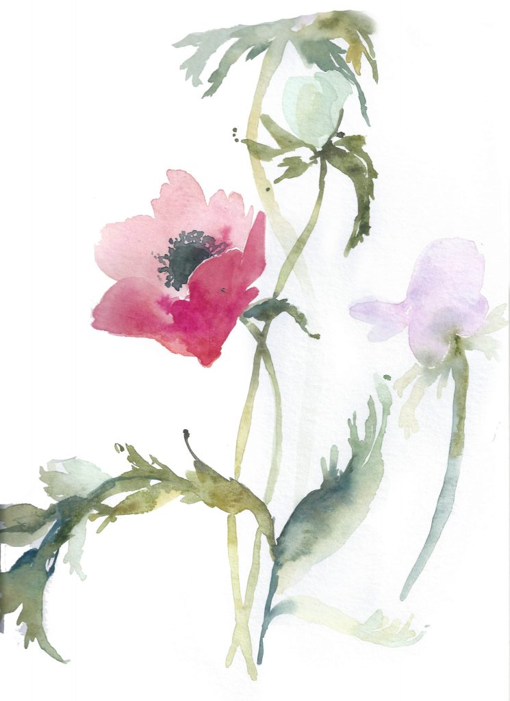 essai 2 entrainement délibéré avec fleurs à l'aquarelle