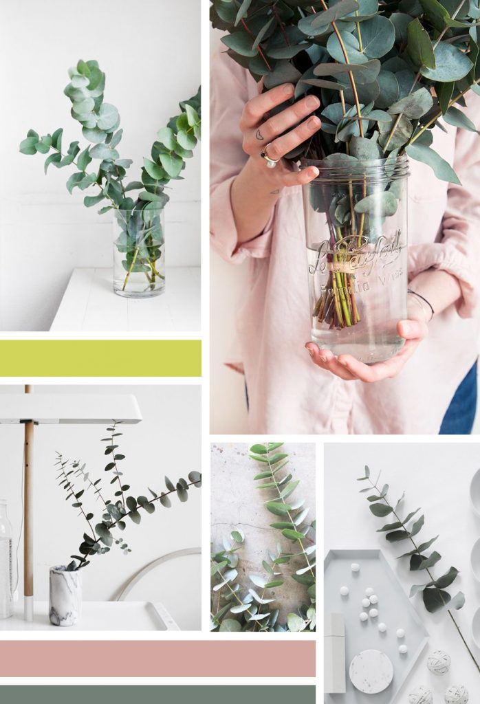 moodboard de photos d'inspiration pour peindre de l'eucalyptus