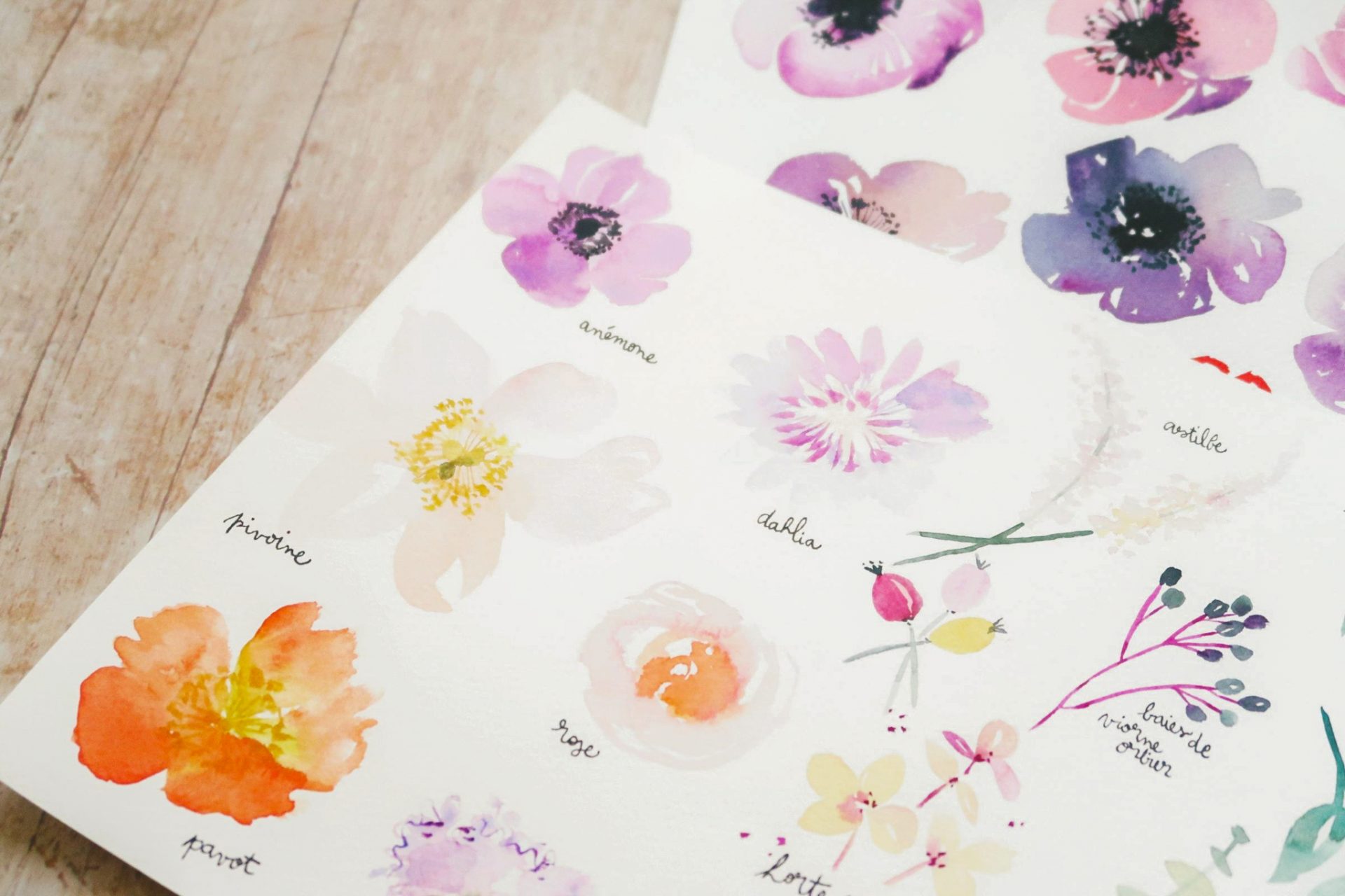 planche de fleurs à l'aquarelle