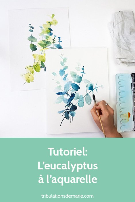 tutoriel : l'eucalyptus à l'aquarelle