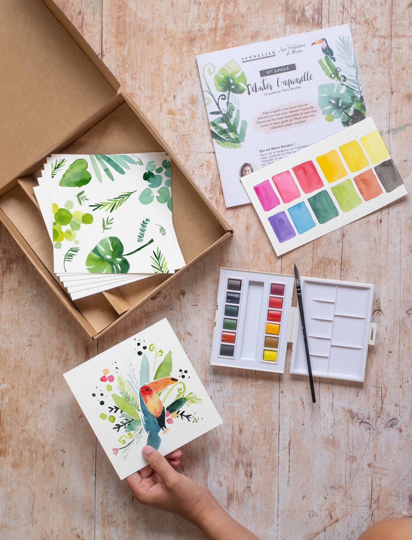 contenu du kit jungle pour débuter l'aquarelle