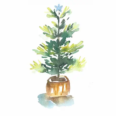 Peinture aquarelle d'un sapin avec fusion de couleurs.