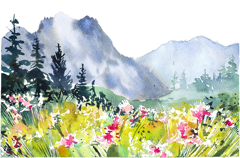 Paysage champ fleuri à l'aquarelle