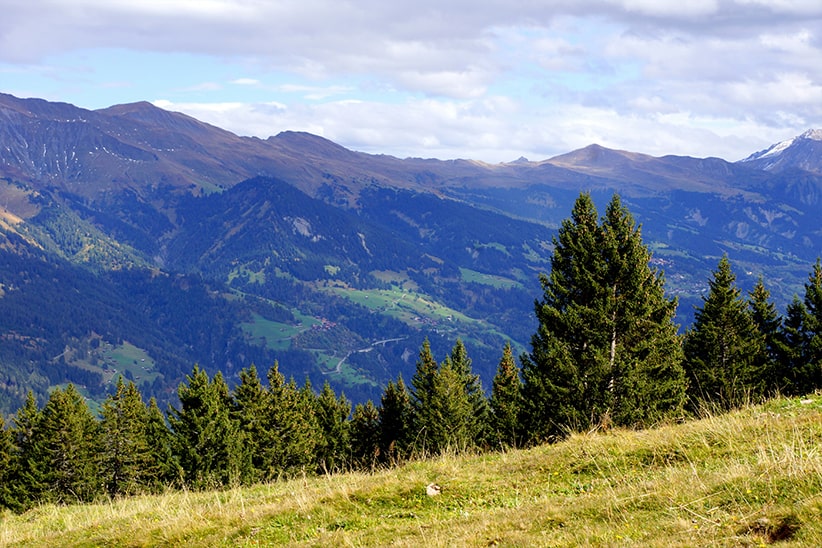 Photo de montagne avec des sapins