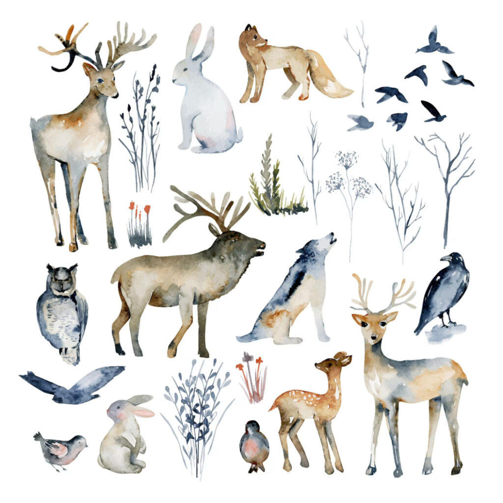 Inspirations d'hiver aquarelle : animaux d'hiver 