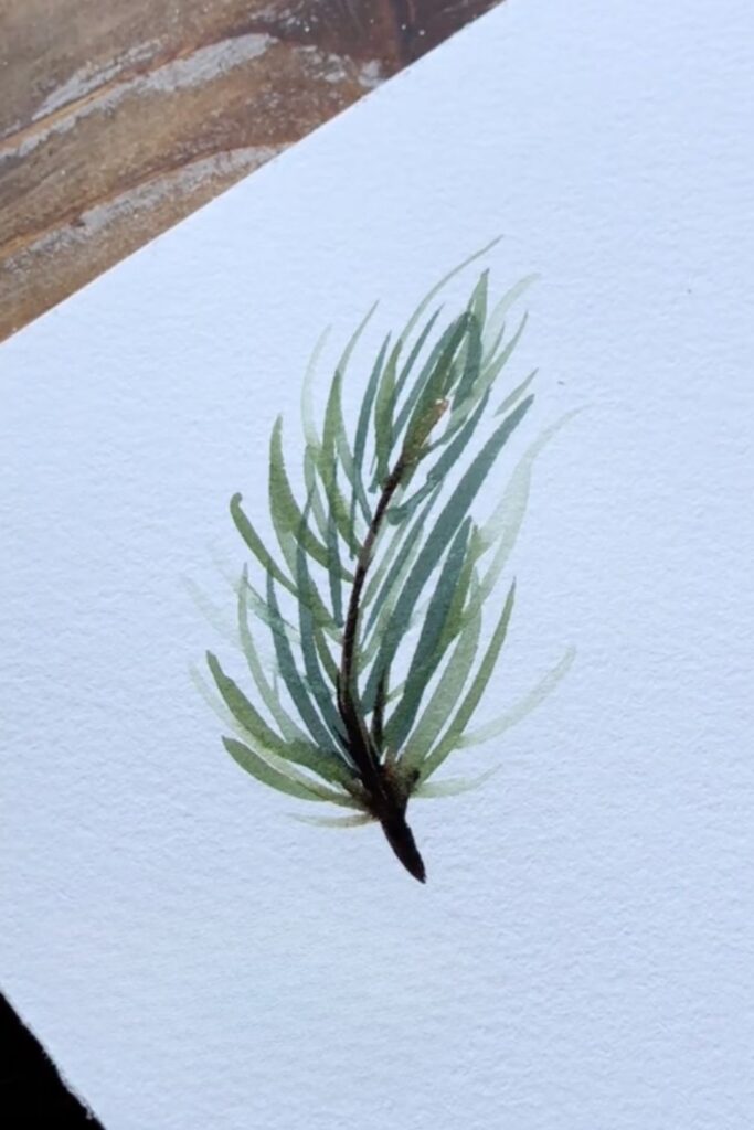 Inspirations d'hiver aquarelle : branche de pin 
