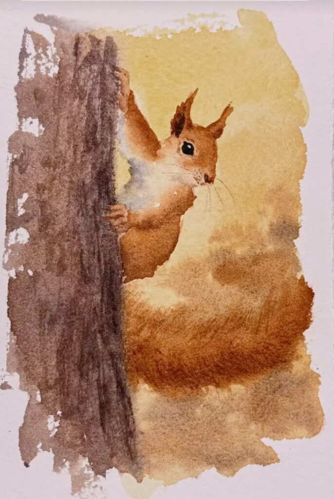 Ecureuil à l'aquarelle