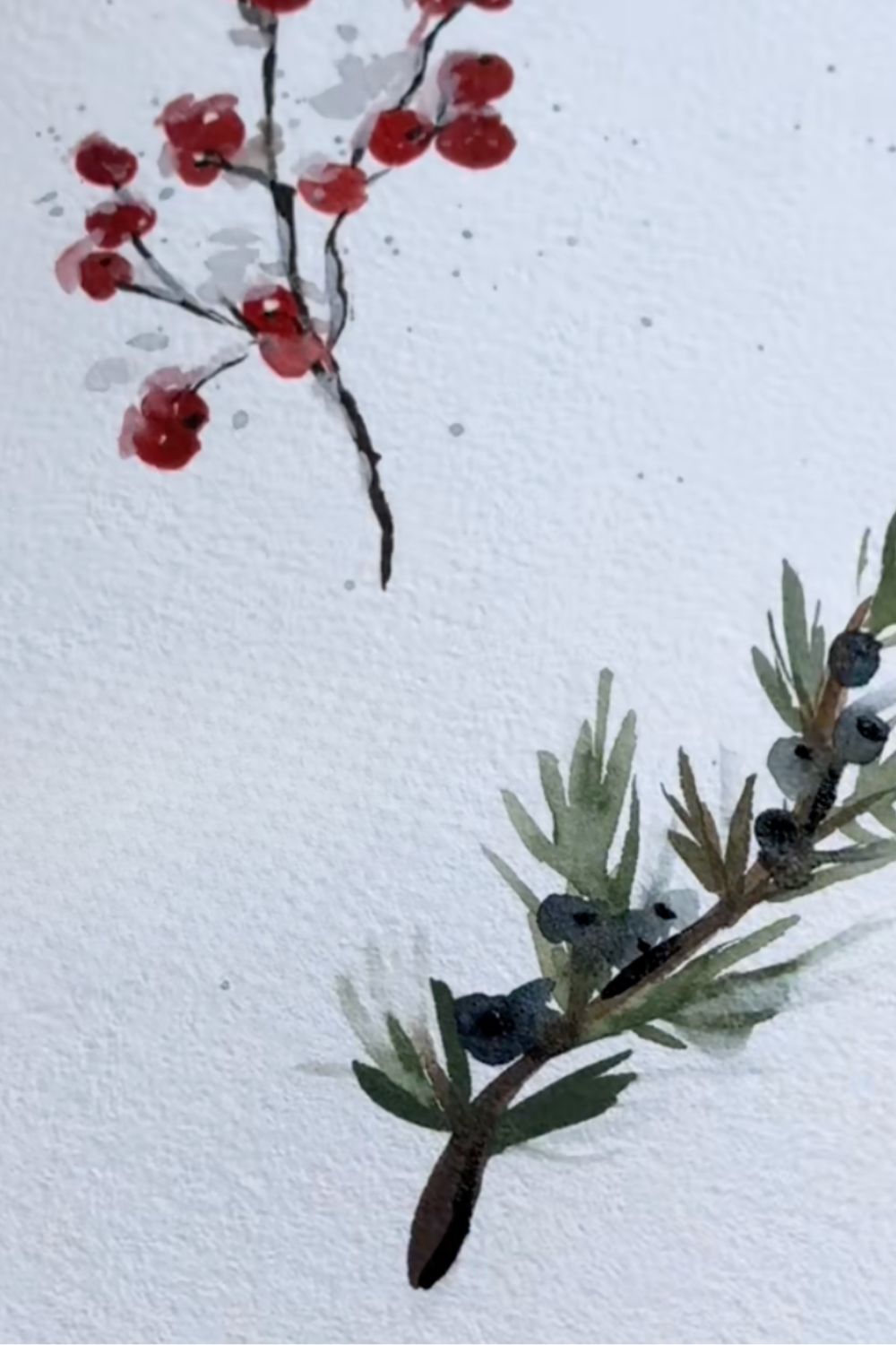 Inspirations d'hiver aquarelle : baies de genévrier