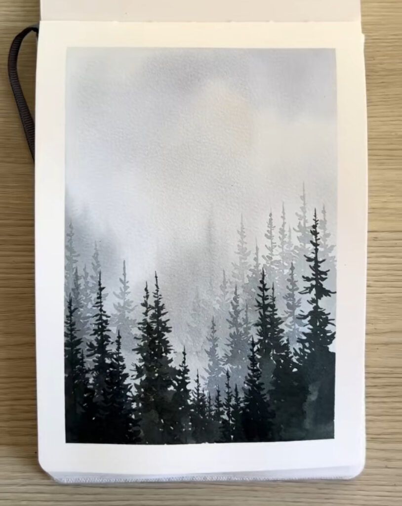 Sapins dans la brume