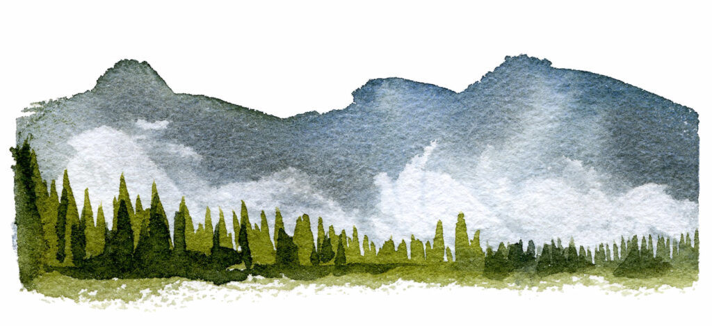 créer et suggérer le blanc grâce à la méthode du retrait de matière