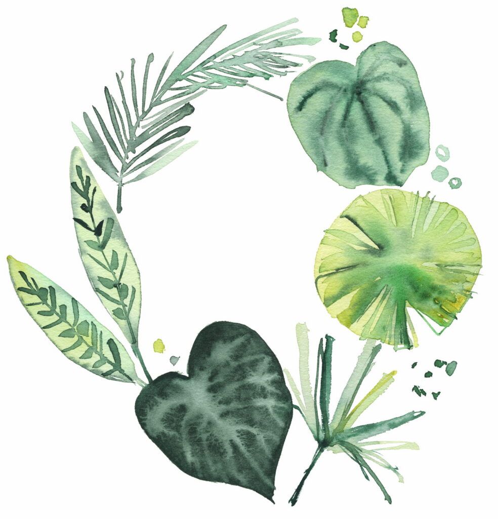 couronnes fleurs aquarelle inspiration jungle végétale 