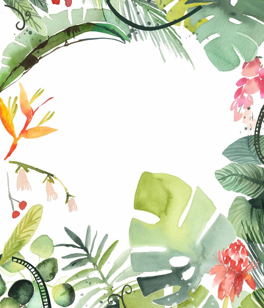 couronnes fleurs aquarelle couverture du livre jungle à l'aquarelle 